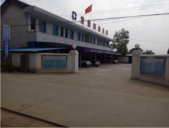 齐心协力不畏难,旧貌也能换新颜--G319、G207常德城区改线工程第A合同段项目部 驻地建设小记(图3) 齐心协力不畏难,旧貌也能换新颜--G319、G207常德城区改线工程第A合同段项目部 驻地建设小记(图3)