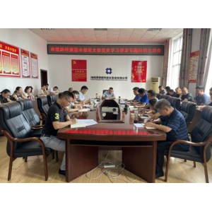 常德路桥本部党支部召开党史学习教育专题组织生活会