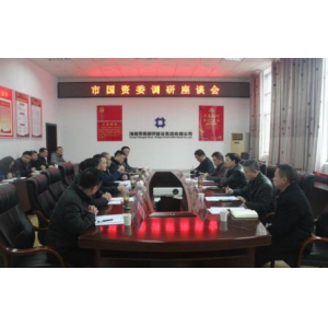 市国资委领导到路桥集团调研指导工作