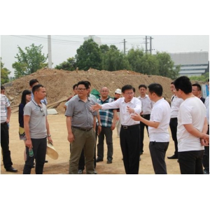 常德市副市长胡丘陵视察白马桥项目