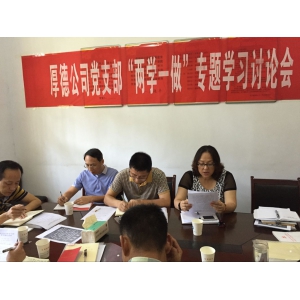 厚德公司党支部开展“两学一做”第二次专题学习讨论