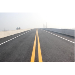 S306陆家渡特大桥顺利交工