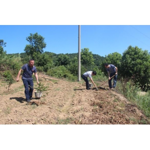 集团公司班子成员开展第三季度精准扶贫工作