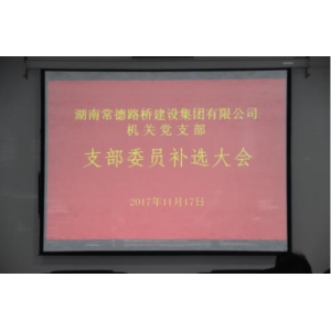 集团公司机关党支部召开党员大会进行委员补选