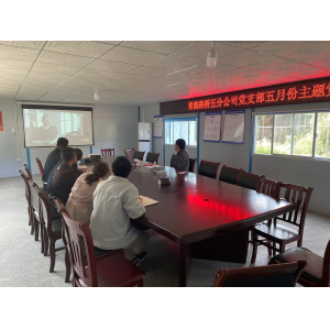 以案明纪树新风  警示教育扬正气 ——常德路桥集团五分公司5月份主题党日活动