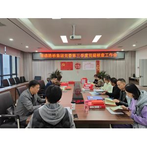 常德路桥集团开展第三季度党建工作核查