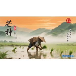 节气话廉----芒种